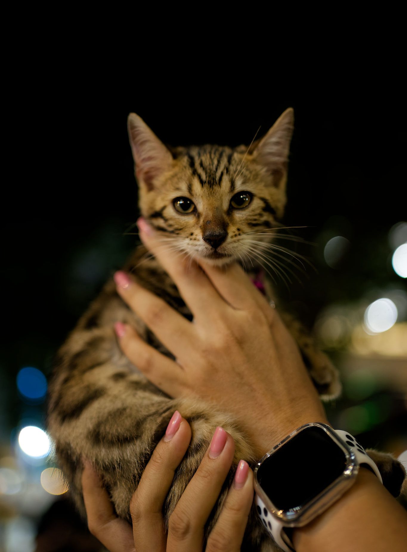 Frau und Katze in einem vertrauten Moment